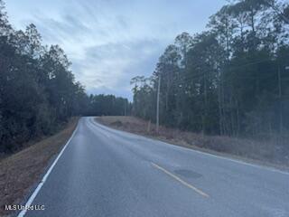 Paige Bayou Road Vancleave, MS 39565 - Photo 6 of 11 IMG_0467