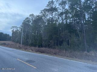 Paige Bayou Road Vancleave, MS 39565 - Photo 7 of 11 IMG_0466