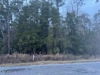 $188,615 | Paige Bayou Road, Vancleave, MS 39565