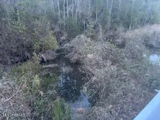 $188,615 | Paige Bayou Road, Vancleave, MS 39565