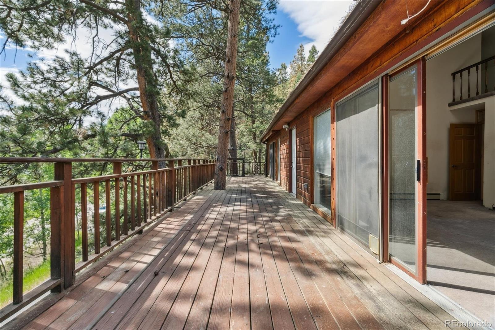 3909 County Road 72 Bailey, CO 80421 - Photo 24 of 50 a view of backyard with large trees and wooden floor