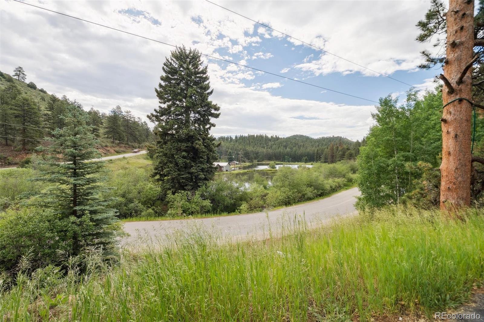 3909 County Road 72 Bailey, CO 80421 - Photo 30 of 50 a view of lake with green yard