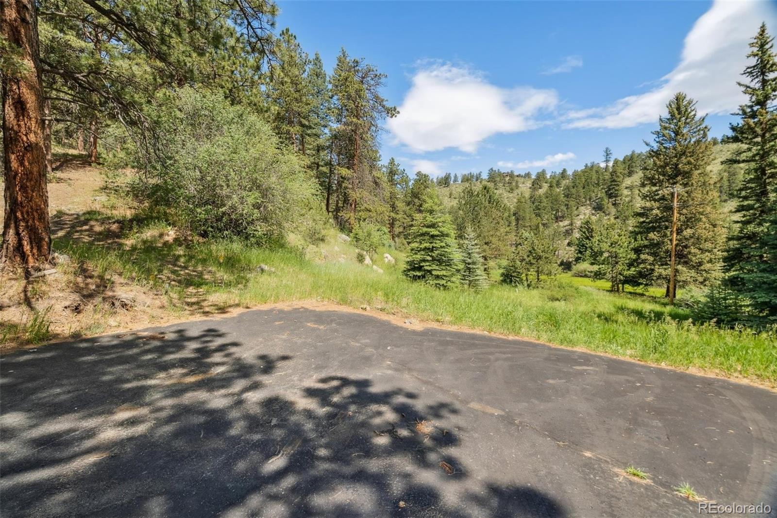 3909 County Road 72 Bailey, CO 80421 - Photo 31 of 50 a view of a yard with an trees
