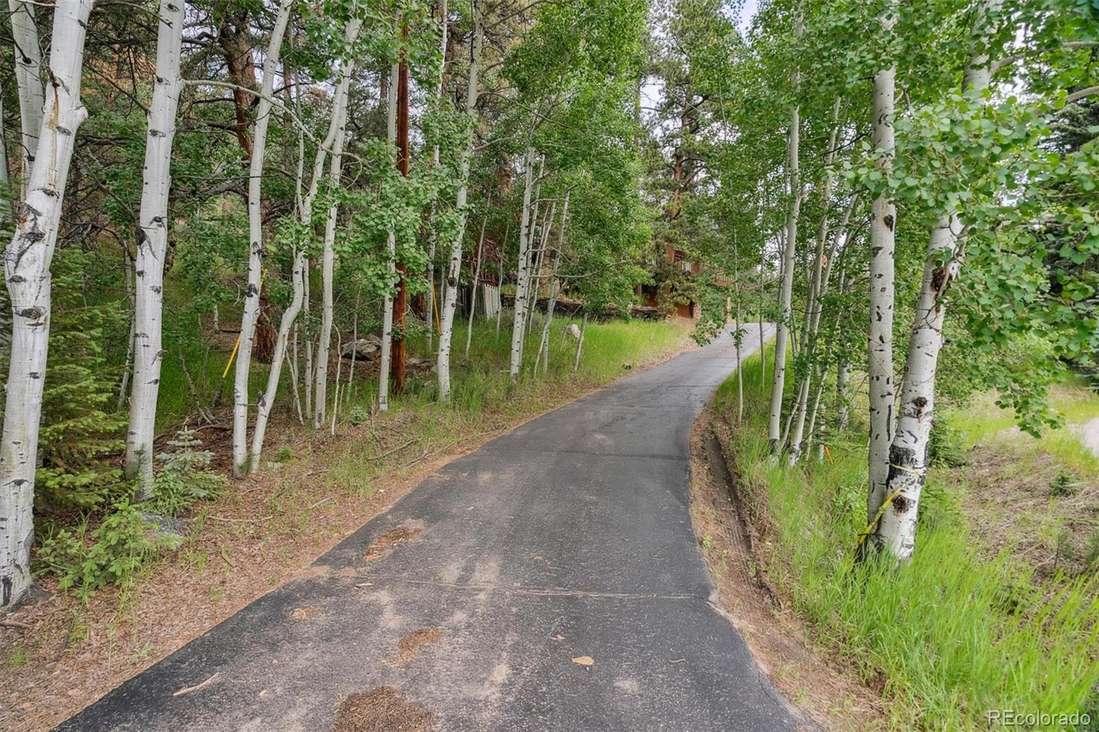 3909 County Road 72 Bailey, CO 80421 - Photo 33 of 50 a view of a garden with a lake