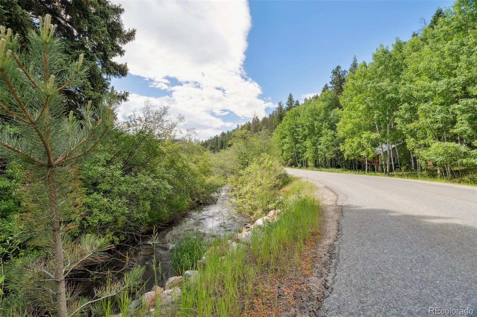 3909 County Road 72 Bailey, CO 80421 - Photo 34 of 50 a view of a garden with plants and large trees