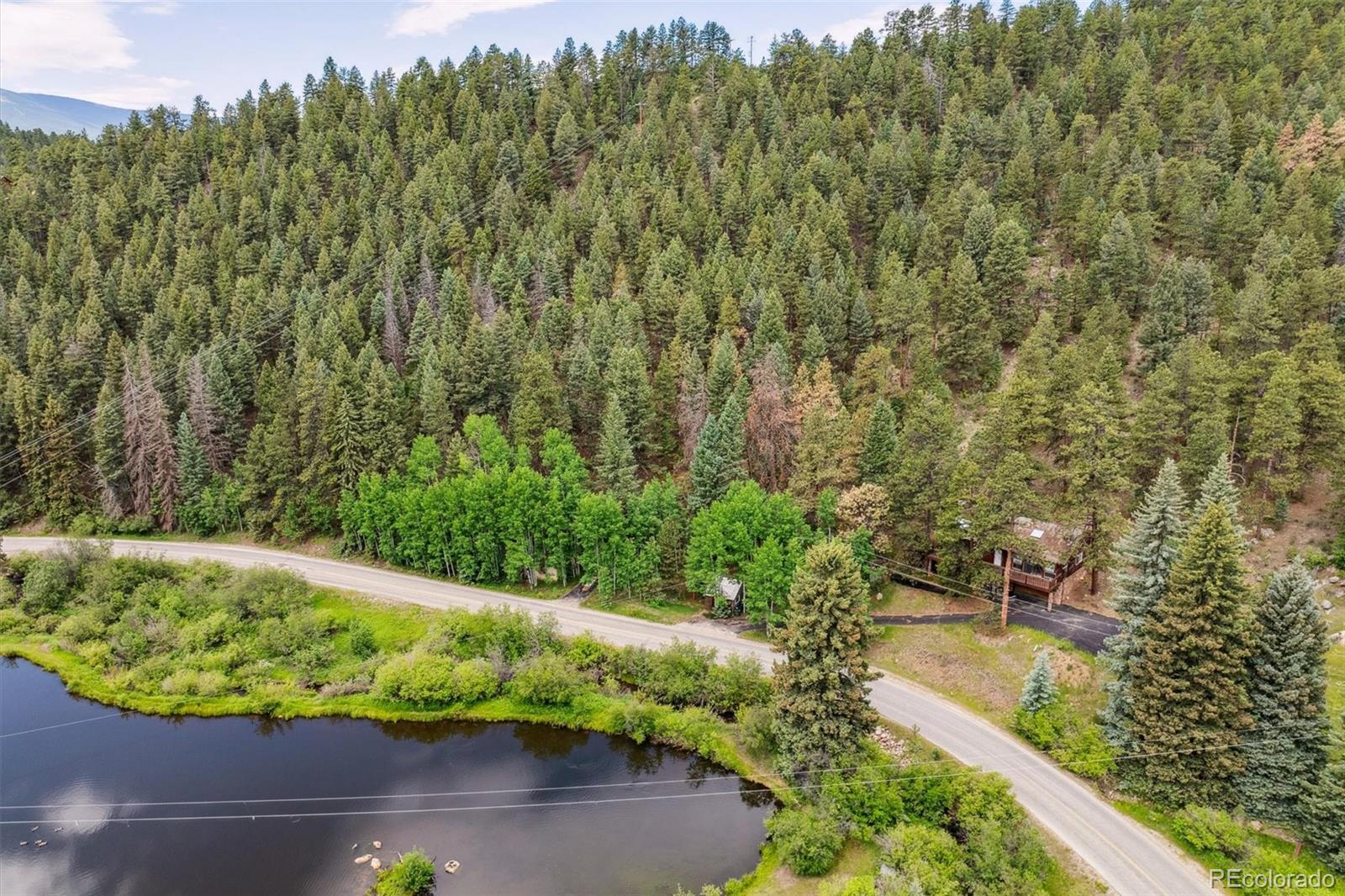3909 County Road 72 Bailey, CO 80421 - Photo 35 of 50 a view of a garden with a pathway