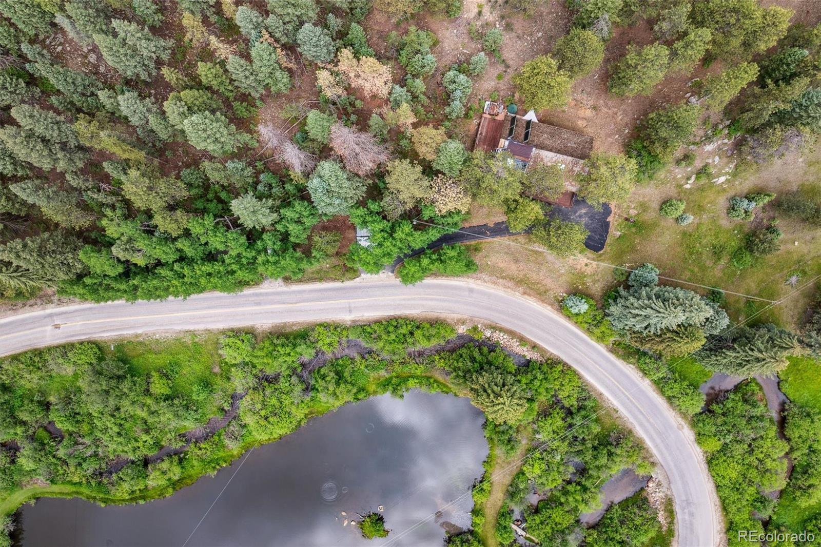 3909 County Road 72 Bailey, CO 80421 - Photo 43 of 50 a view of a garden with a pathway