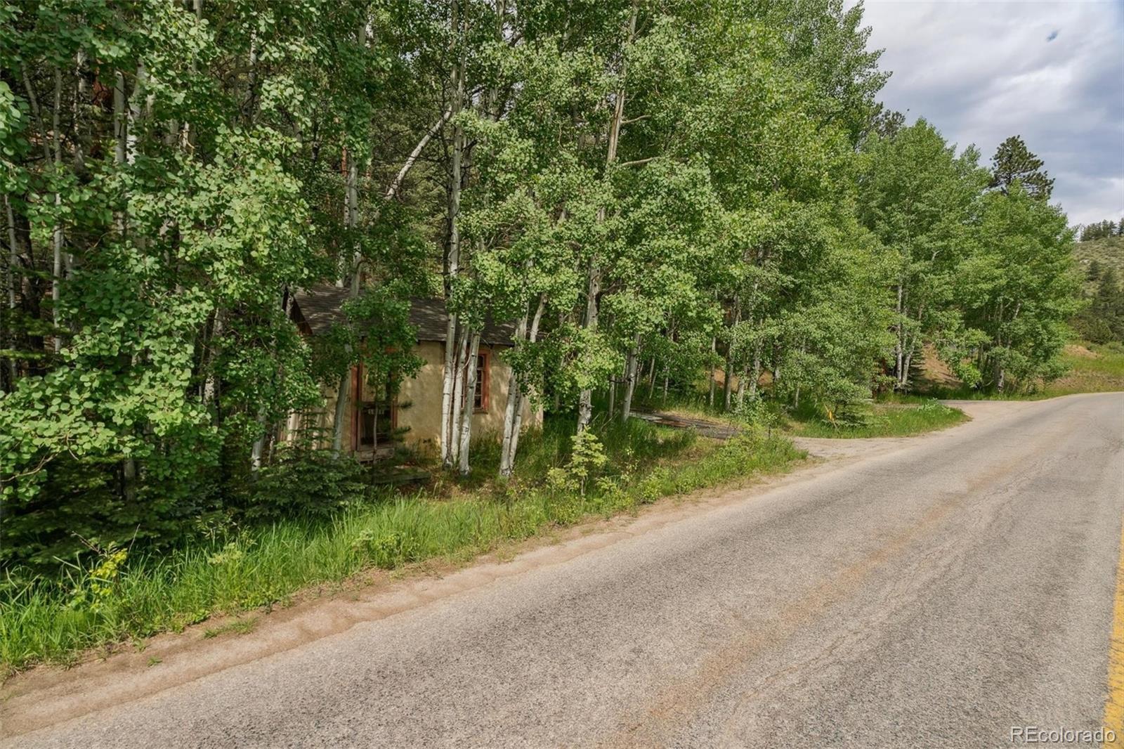 3909 County Road 72 Bailey, CO 80421 - Photo 47 of 50 a view of a road with plants and large trees