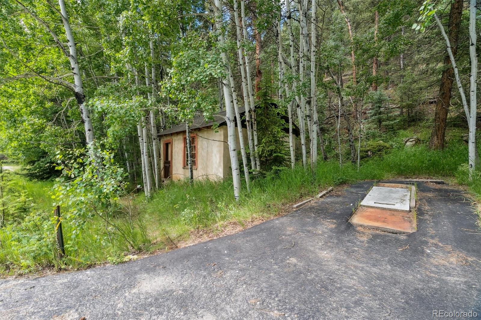 3909 County Road 72 Bailey, CO 80421 - Photo 48 of 50 a front view of a house with garden