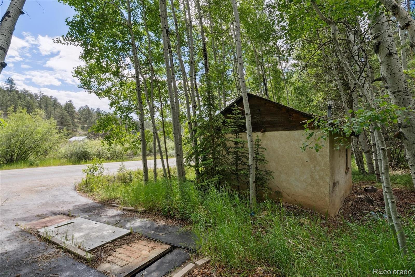 3909 County Road 72 Bailey, CO 80421 - Photo 49 of 50 a backyard of a house with lots of green space