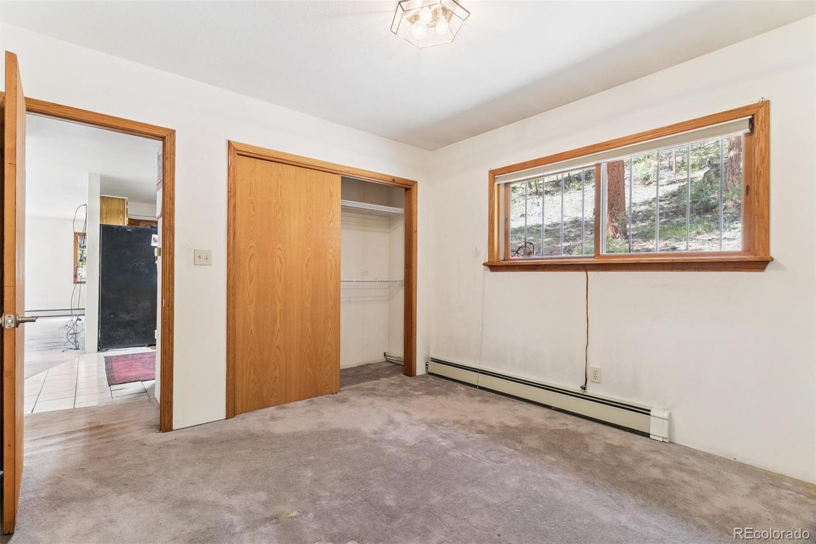 3909 County Road 72 Bailey, CO 80421 - Photo 8 of 50 an empty room with windows and closet