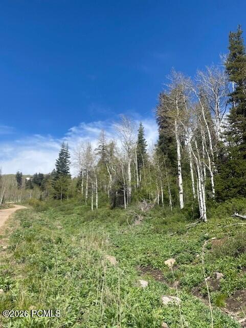 1798 West Alexander Canyon Road Coalville, UT 84017 - Photo 11 of 13