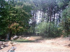530 Tweed Springs Road Greeneville, TN 37743 - Photo 4 of 5 Photo 4