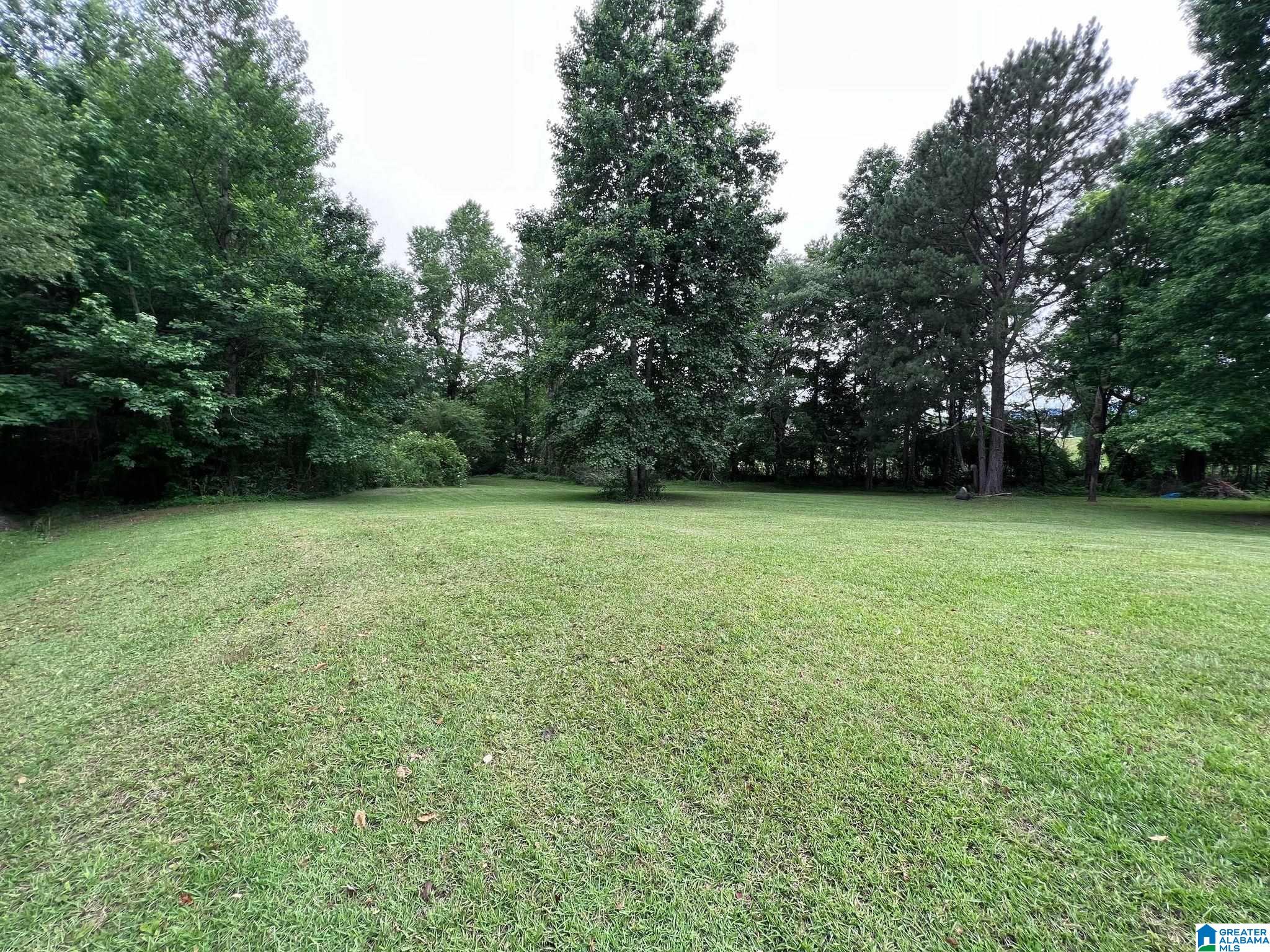 1730 Abel Road Delta, AL 36258 - Photo 24 of 28