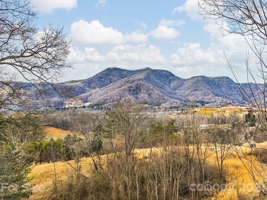 85 Dry Ridge Canton, NC 28716 - Photo 17 of 18
