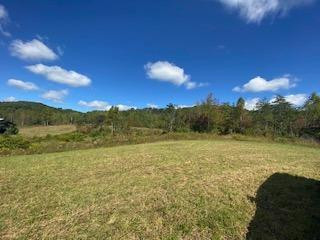 9999 Hopper Creek Road London, KY 40744 - Photo 13 of 15 Photo 13