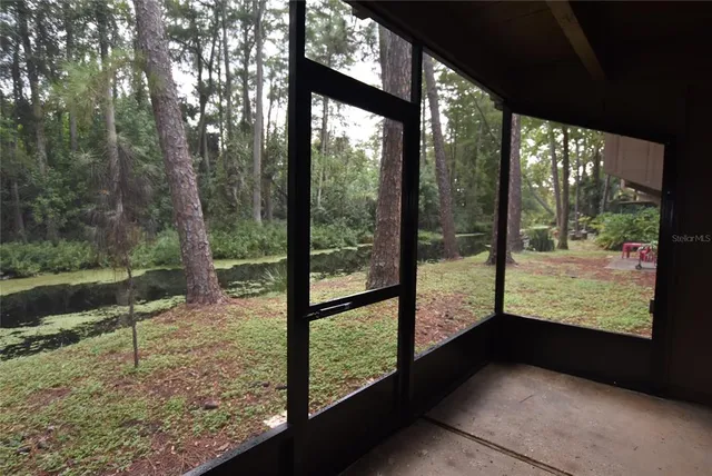 a view of backyard from window