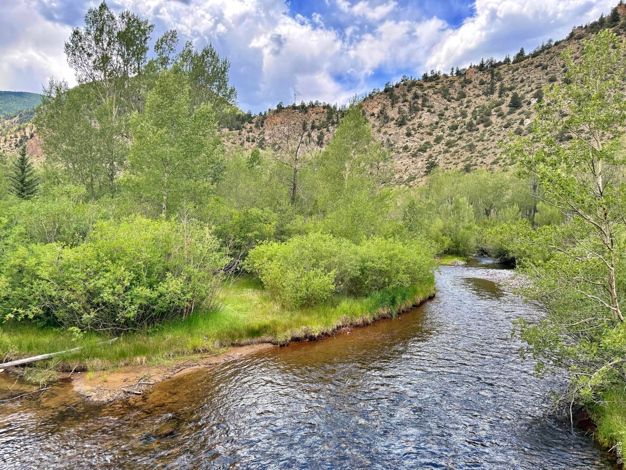 1944 Alvarado Road Georgetown, CO 80444 - Photo 14 of 22 Great fly fishing at the Alvarado Open Space