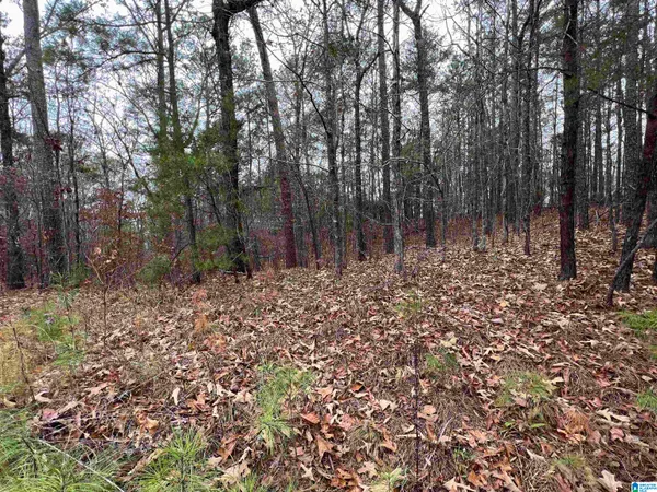 $14,000 | 0 Mountain View Circle, Unit 35, Vance, AL 35490