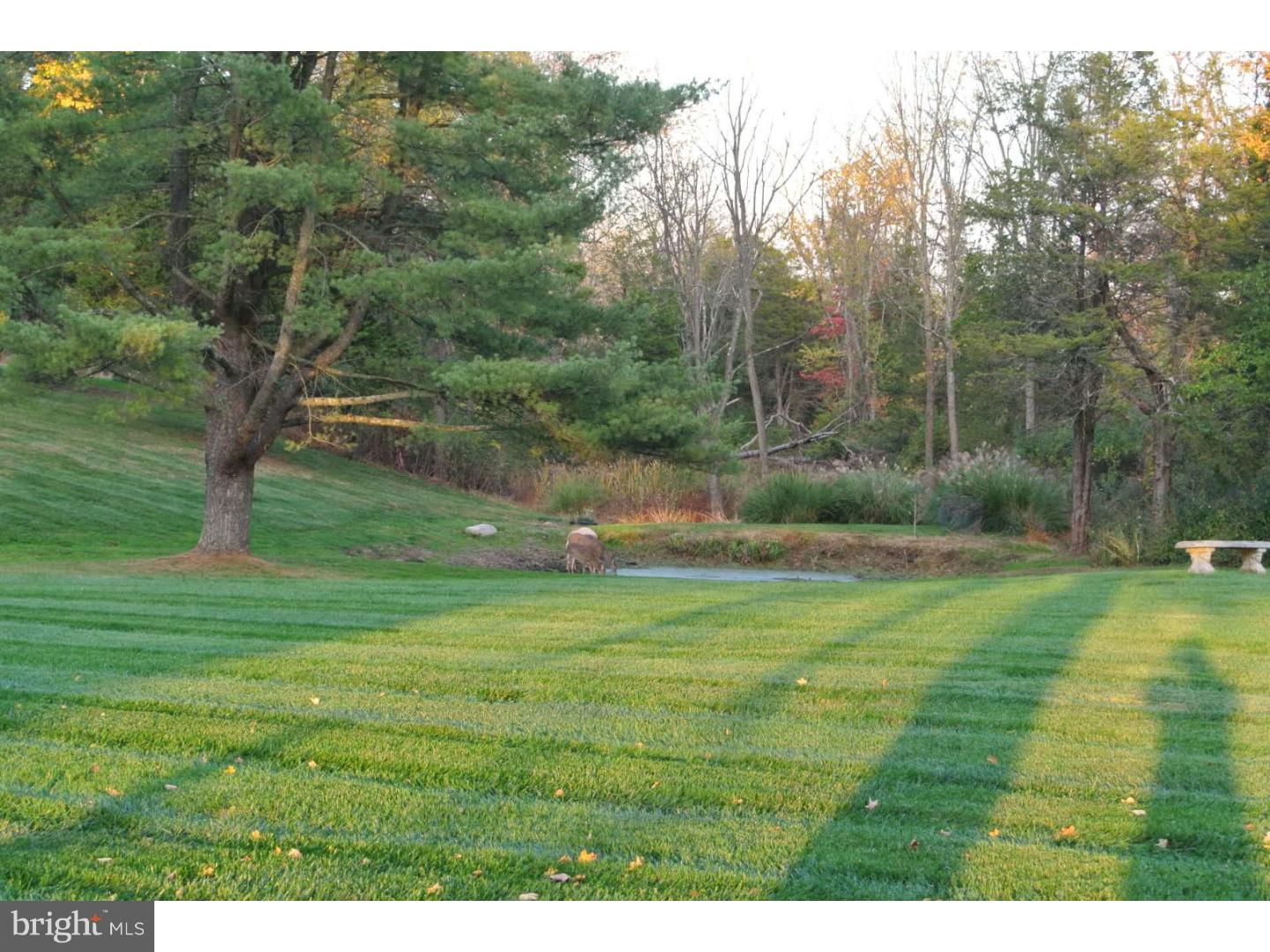 56 Ervin Road Pipersville, PA 18947 - Photo 2 of 20 Back Yard