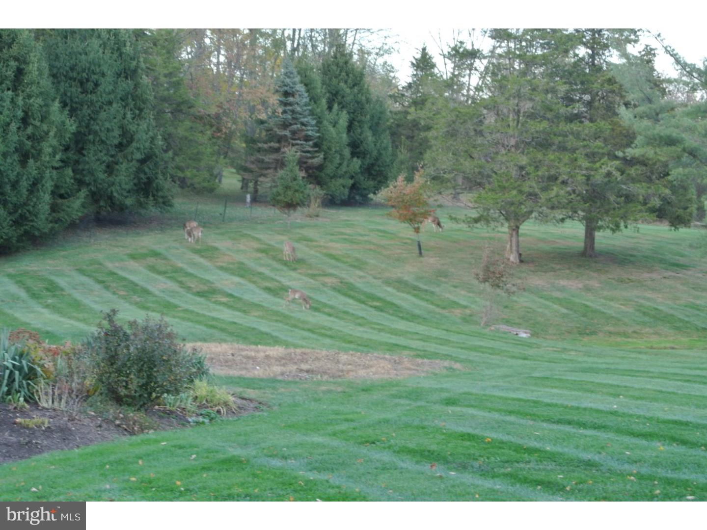 56 Ervin Road Pipersville, PA 18947 - Photo 20 of 20 Back Yard