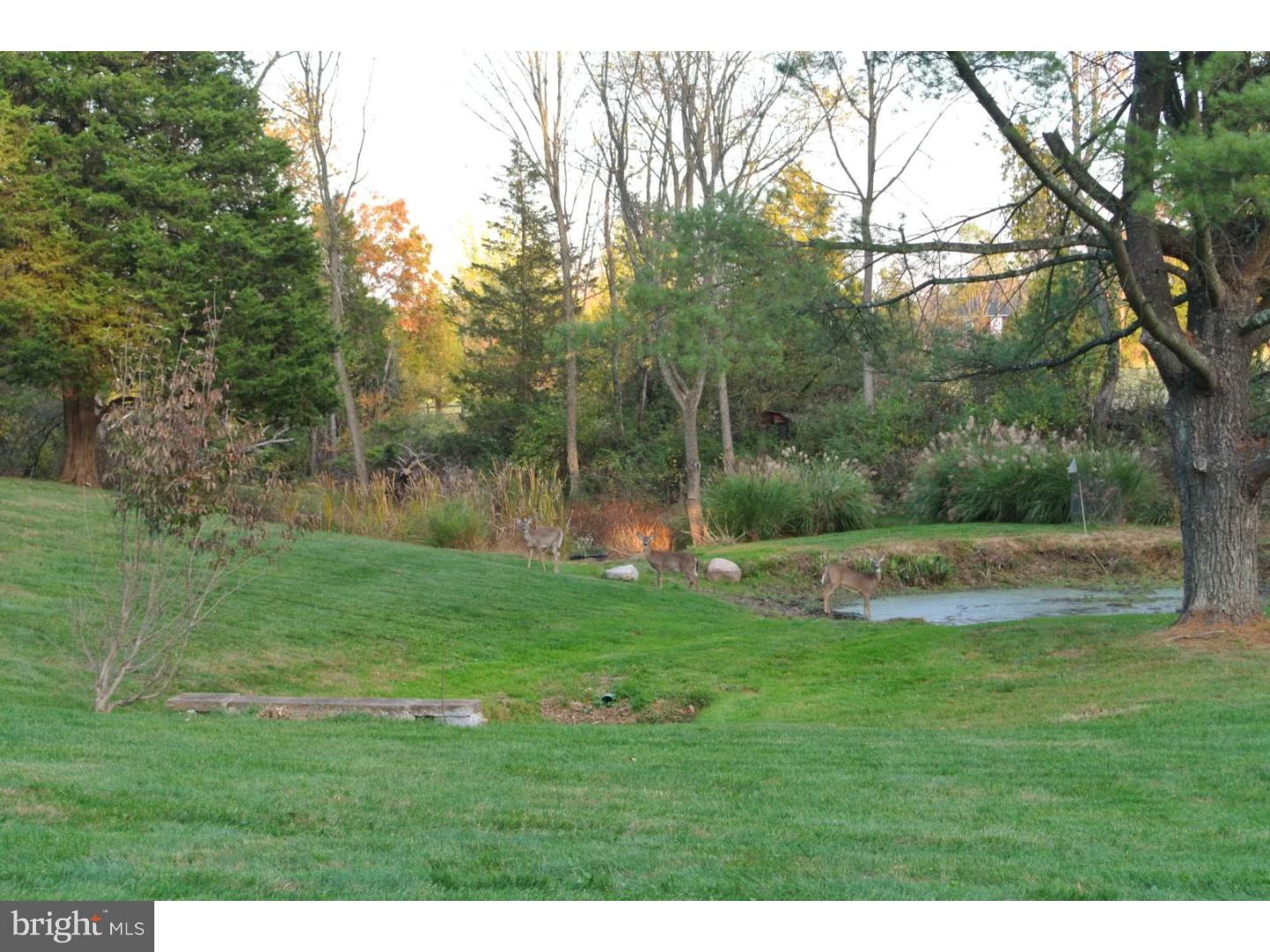 56 Ervin Road Pipersville, PA 18947 - Photo 5 of 20 Back Yard