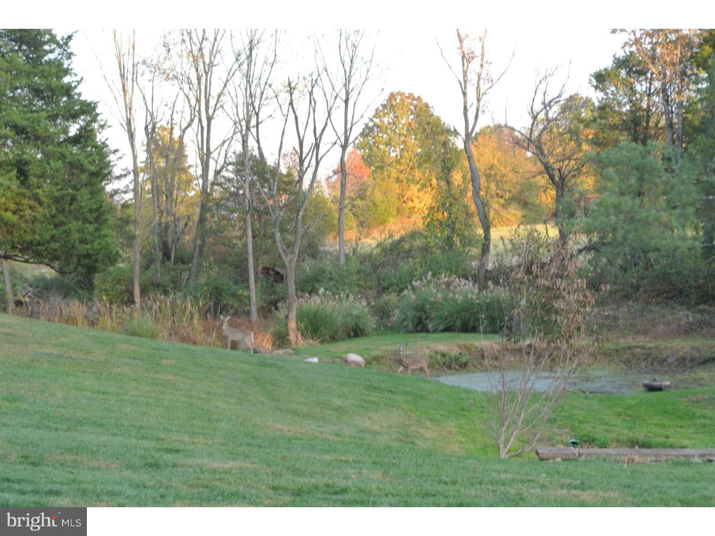 56 Ervin Road Pipersville, PA 18947 - Photo 6 of 20 Back Yard