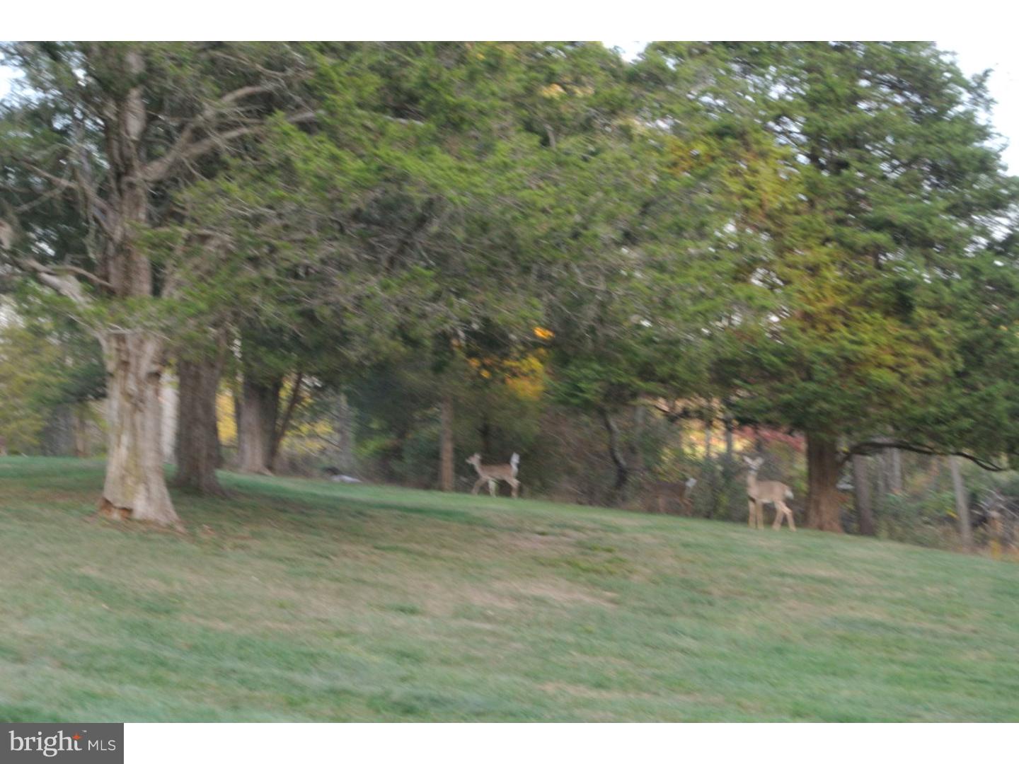 56 Ervin Road Pipersville, PA 18947 - Photo 7 of 20 Back Yard