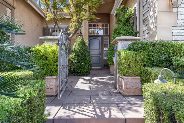a view of a backyard with potted plants and large tree