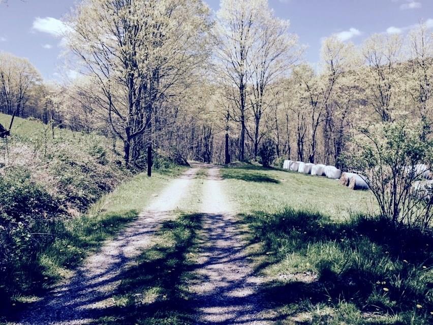 383 Camp Ground Road Confluence, PA 15424 - Photo 2 of 22 Entry Lane