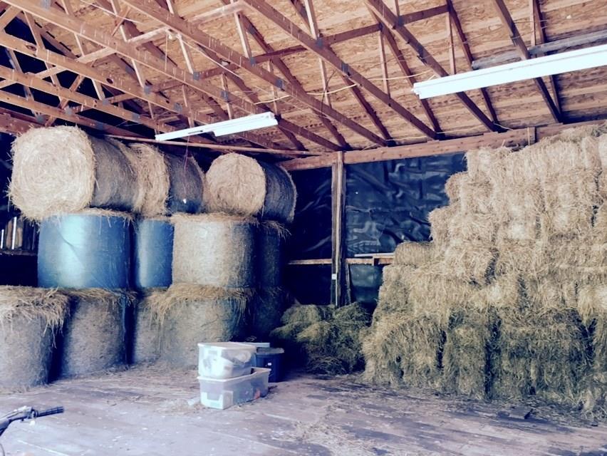 383 Camp Ground Road Confluence, PA 15424 - Photo 16 of 22 Dry Barn Storage