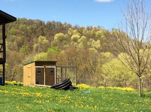 383 Camp Ground Road Confluence, PA 15424 - Photo 18 of 22 Outbuilding