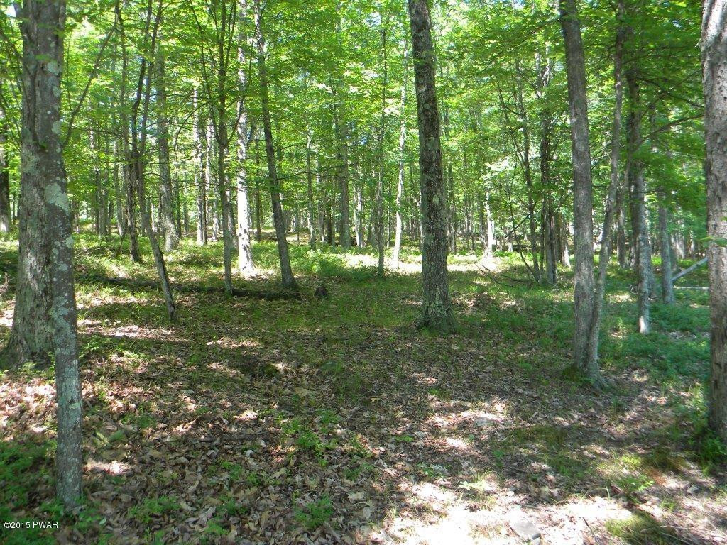 193 Deer Run Road Hawley, PA 18428 - Photo 3 of 17