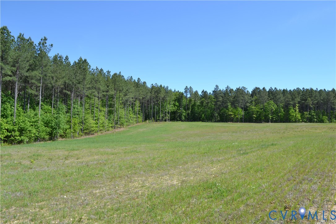 11160 Beaver Bridge Road Chesterfield, VA 23838 - Photo 1 of 16 a view of a field with trees in the background