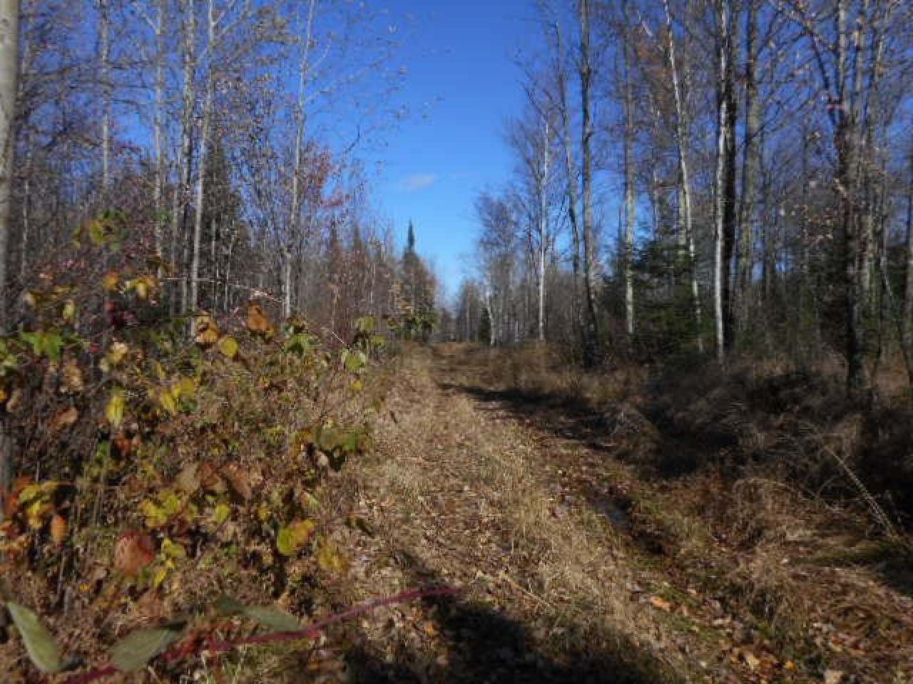 Near Near Newlin Road Brantwood, WI 54513 - Photo 12 of 13 Gallery Image 12