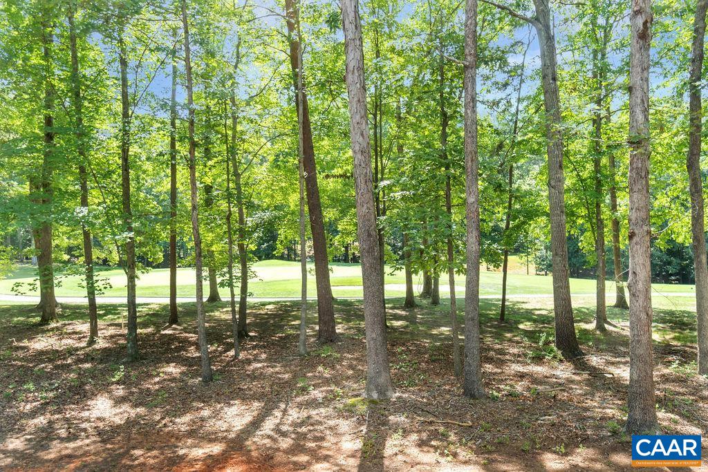 26 Dogleg Road Palmyra, VA 22963 - Photo 9 of 48 a view of backyard with green space