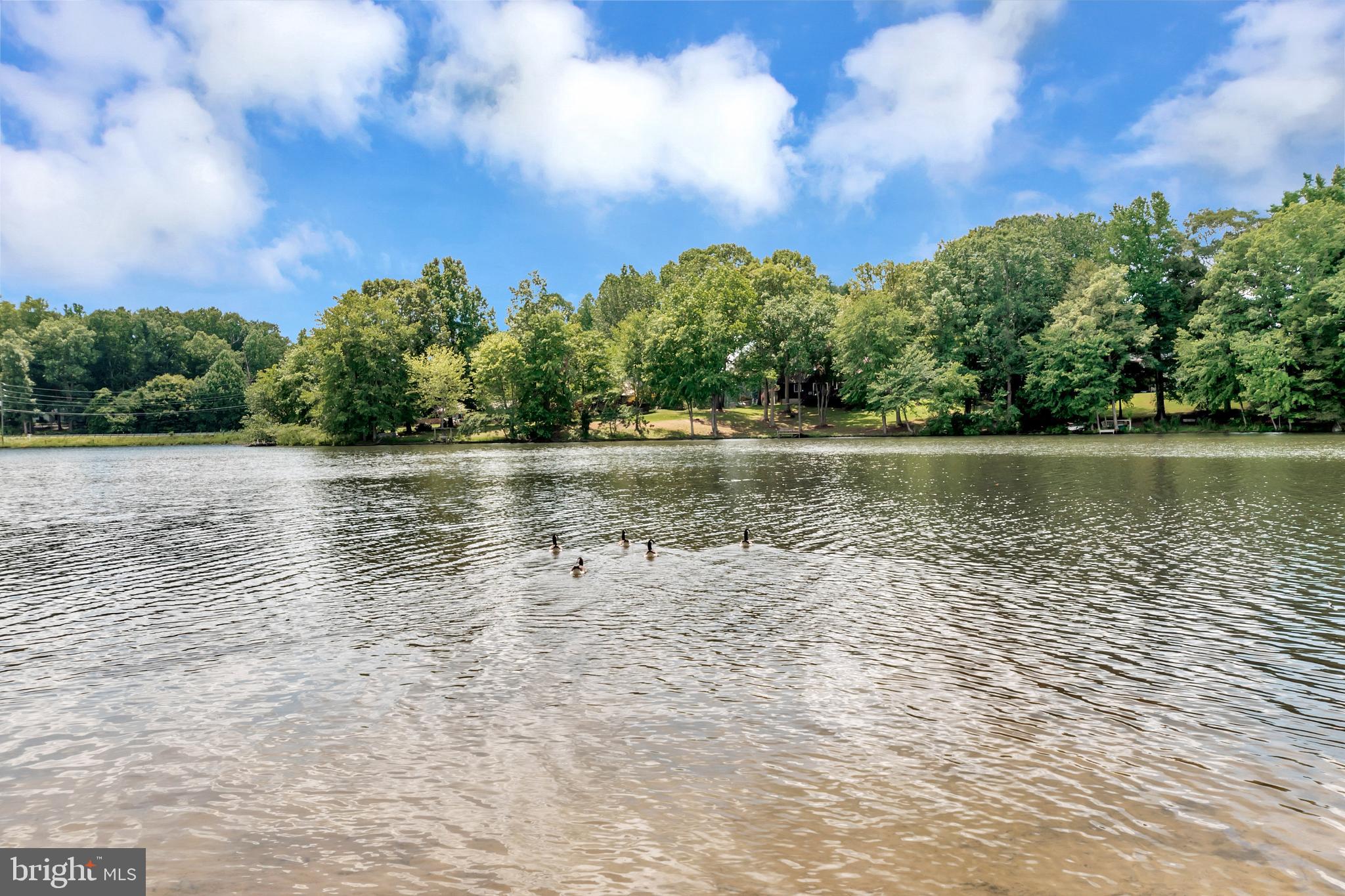 9 Ridge Road Stafford, VA 22556 - Photo 47 of 52 Gallery Image 47