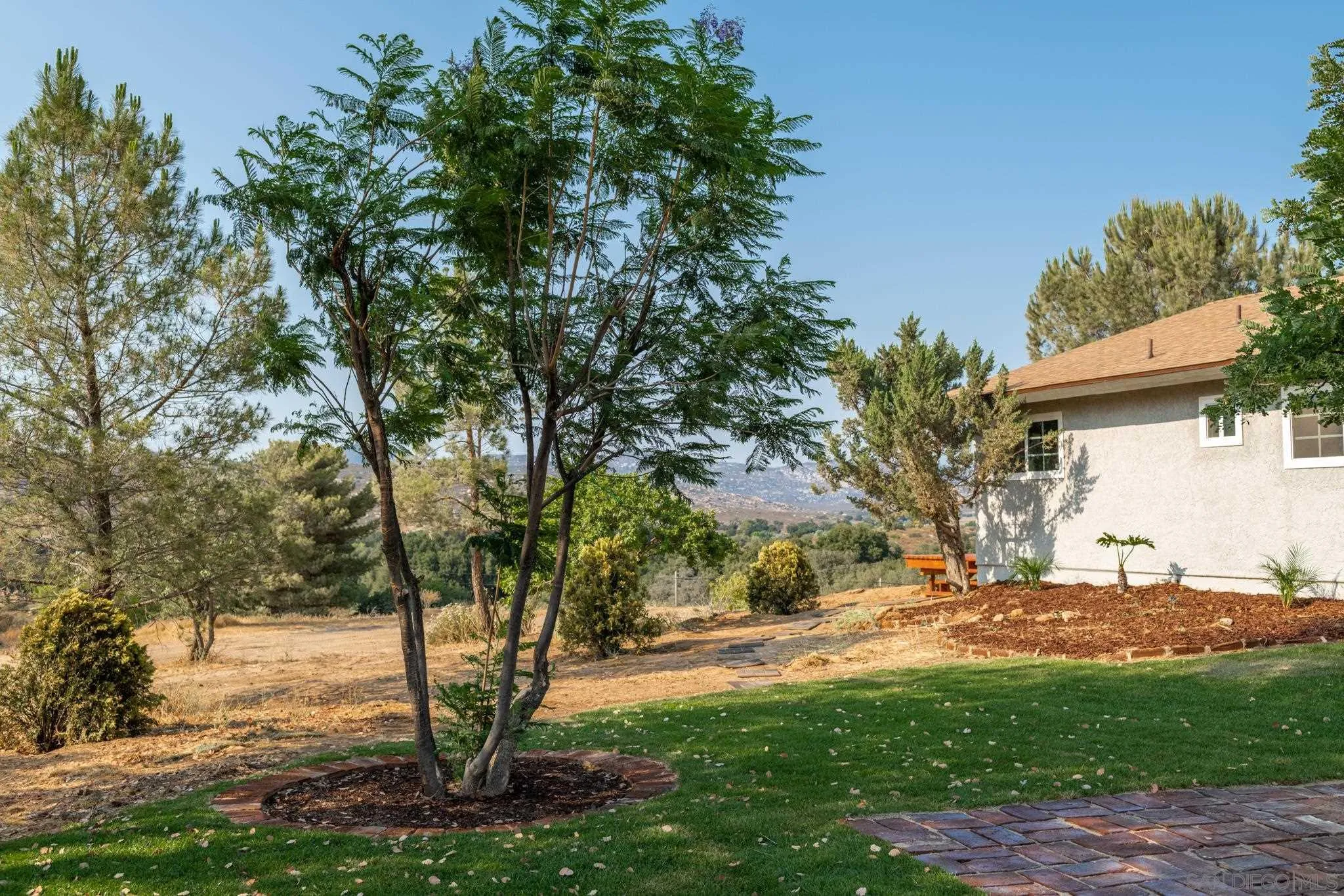 25511 Potrero Valley Road Potrero, CA 91963 - Photo 41 of 48 a view of backyard with tree
