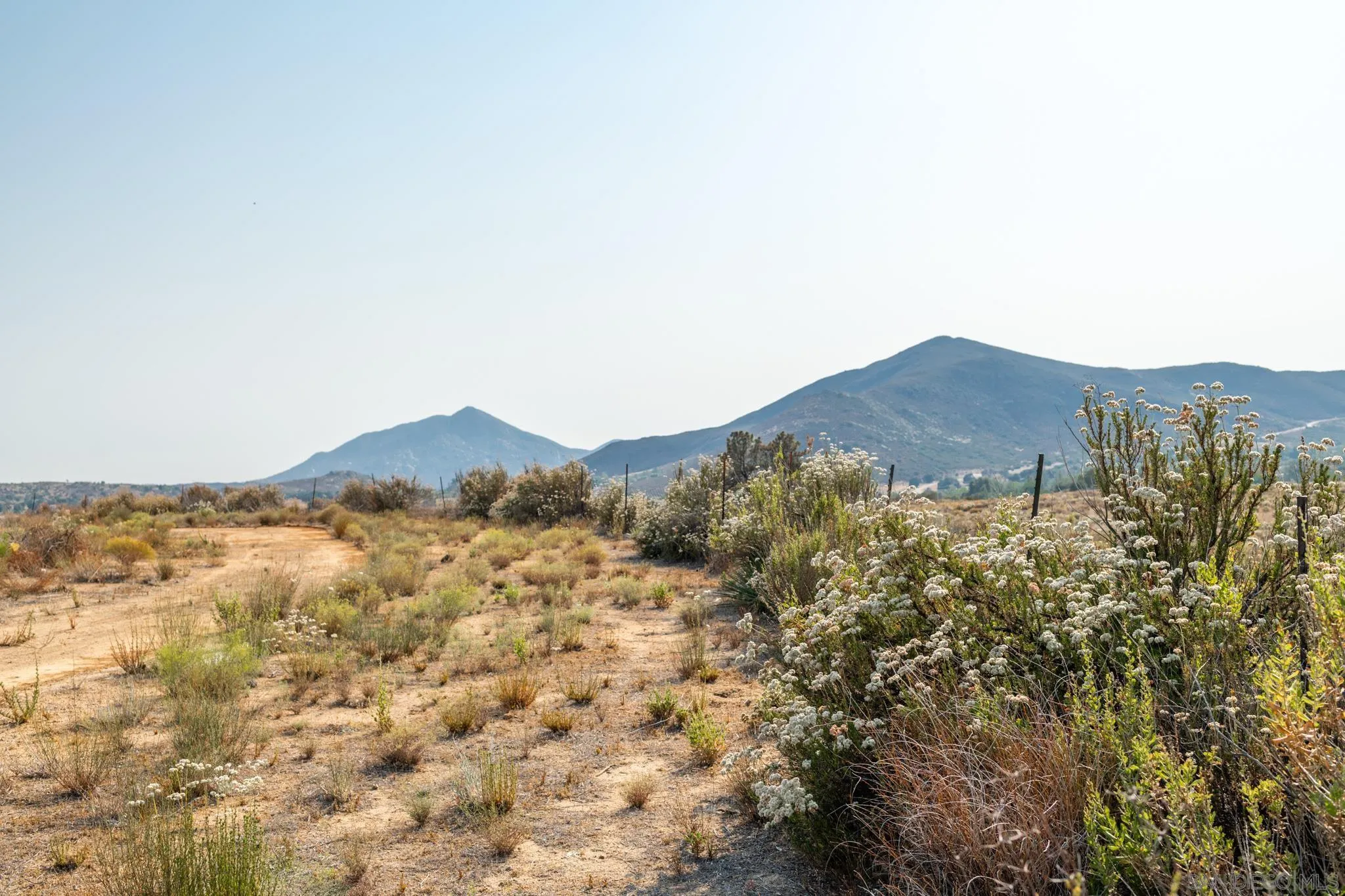 25511 Potrero Valley Road Potrero, CA 91963 - Photo 42 of 48 a view of a dry yard with mountains in the background