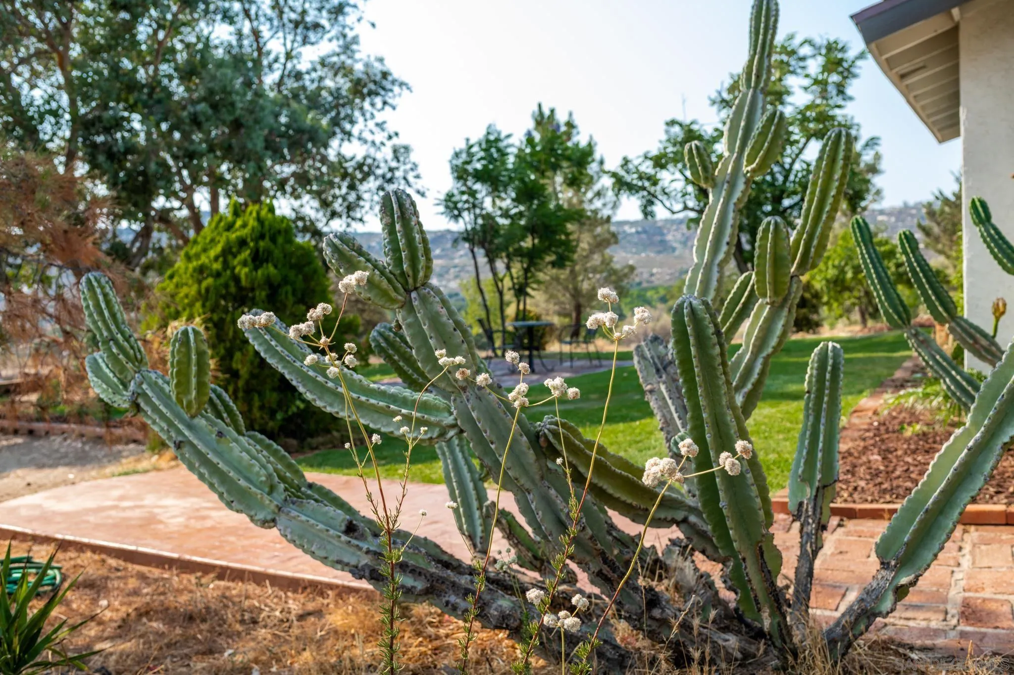 25511 Potrero Valley Road Potrero, CA 91963 - Photo 46 of 48 a view of a garden with plants