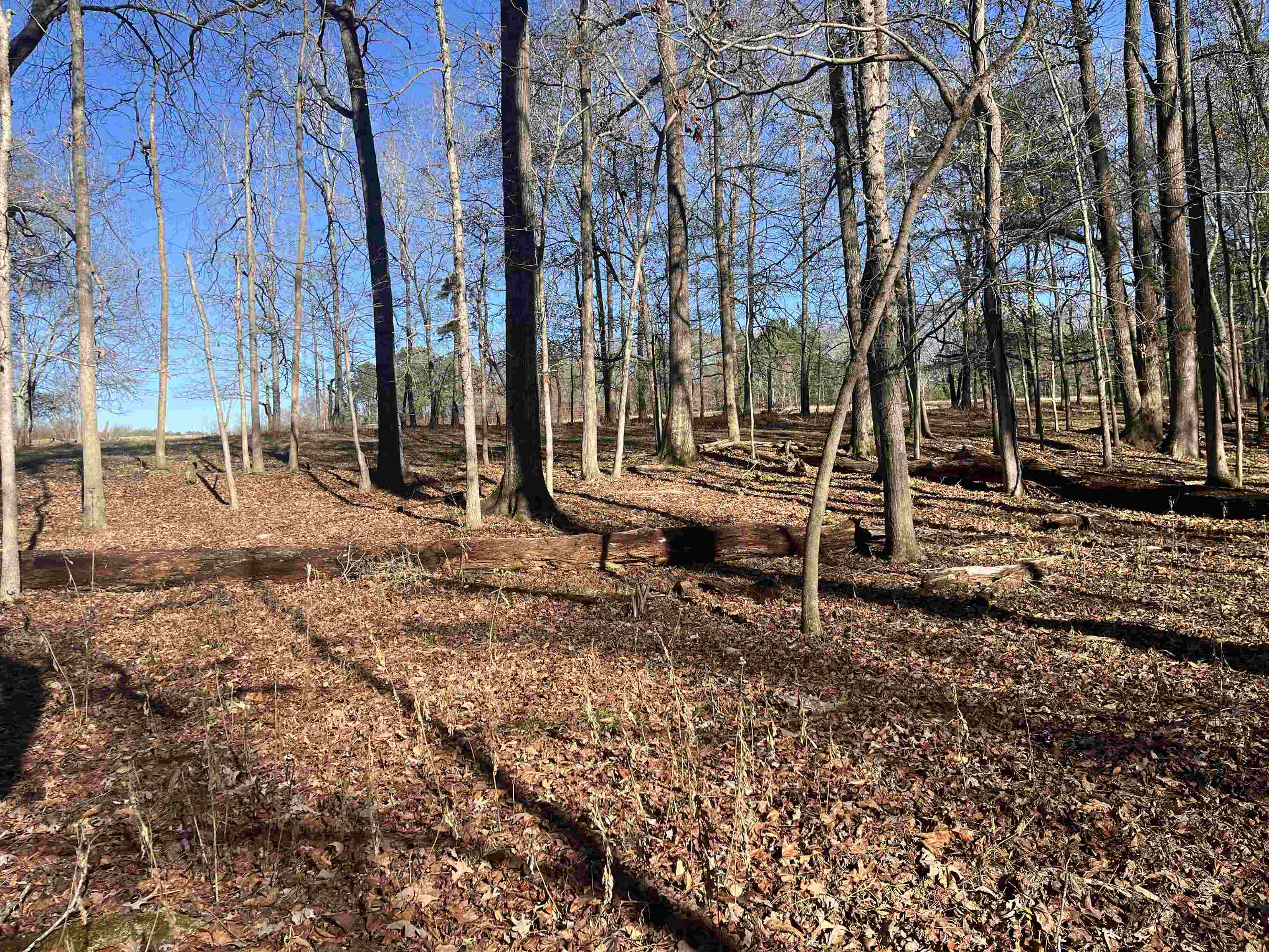 0 Woods Farm Road Chesnee, SC 29323 - Photo 11 of 15