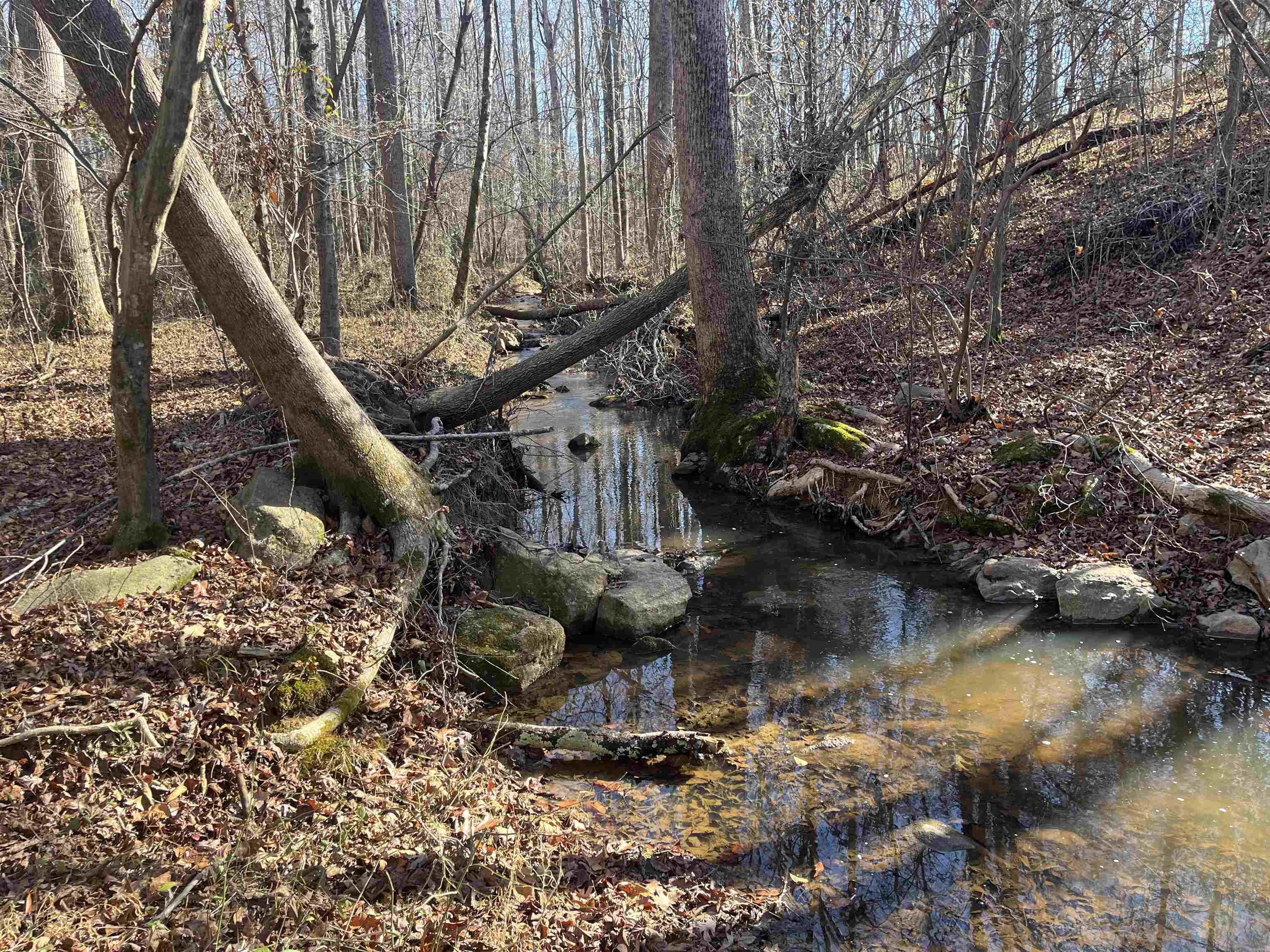 0 Woods Farm Road Chesnee, SC 29323 - Photo 12 of 15