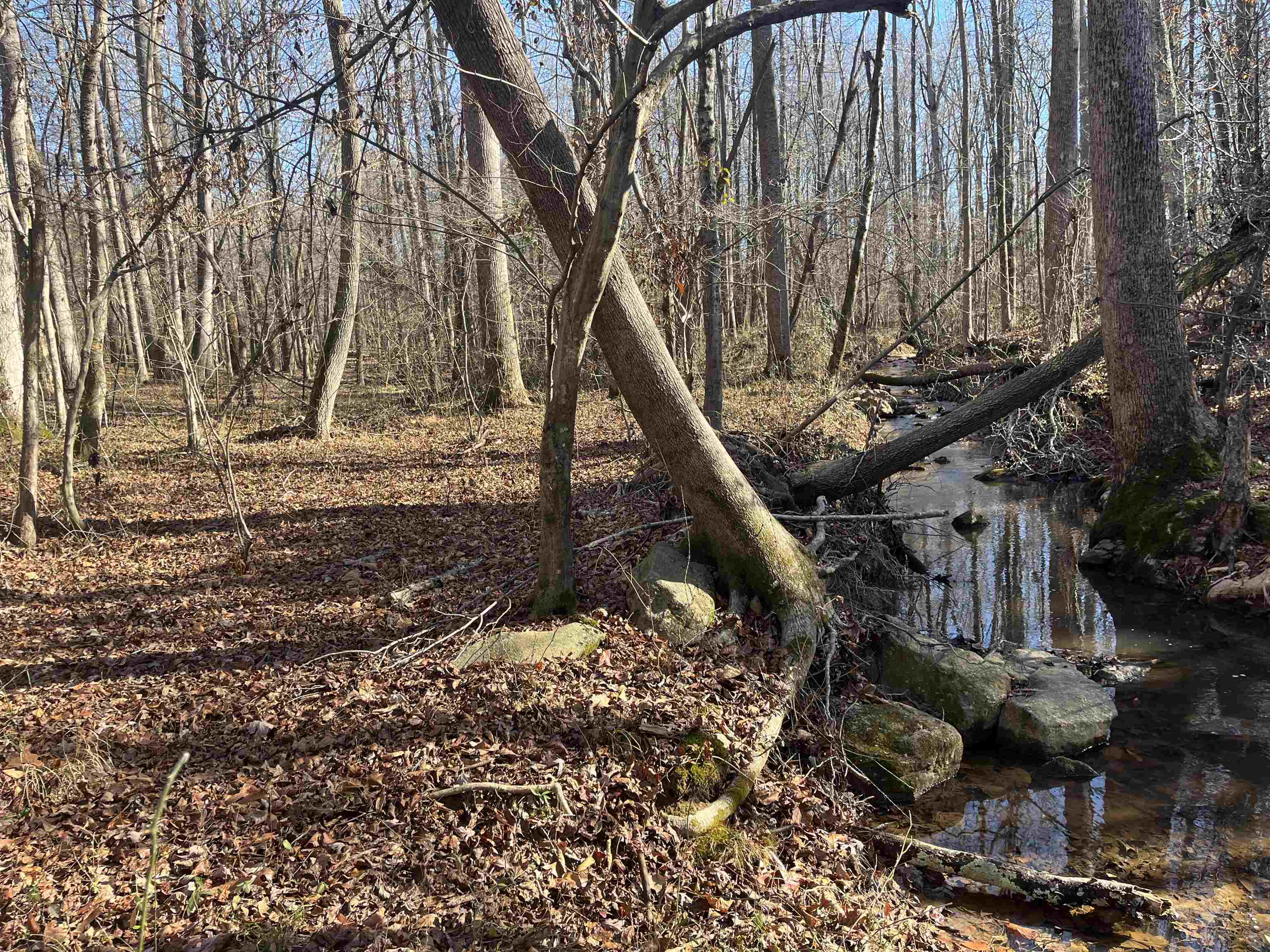 0 Woods Farm Road Chesnee, SC 29323 - Photo 13 of 15