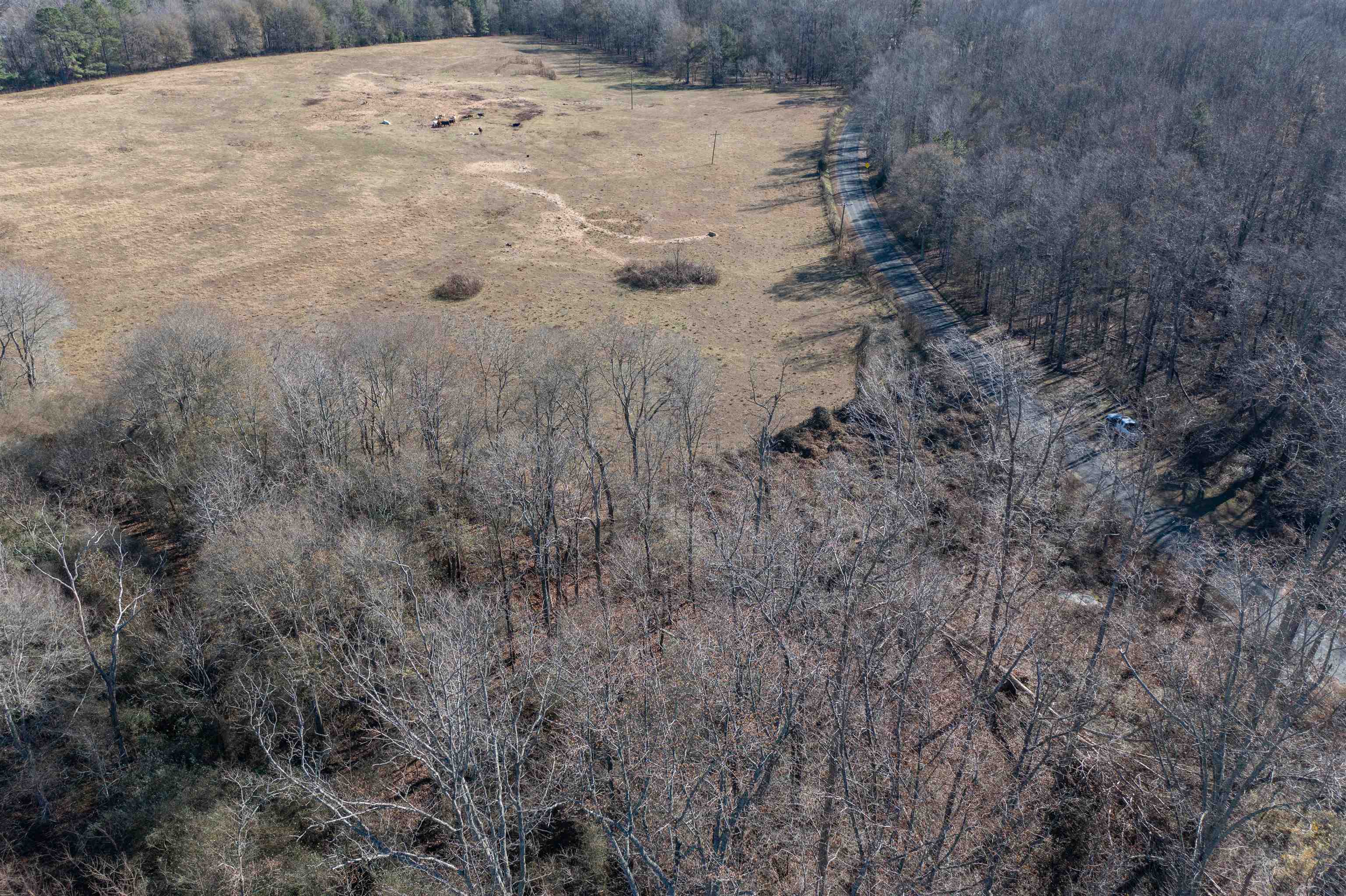 0 Woods Farm Road Chesnee, SC 29323 - Photo 3 of 15