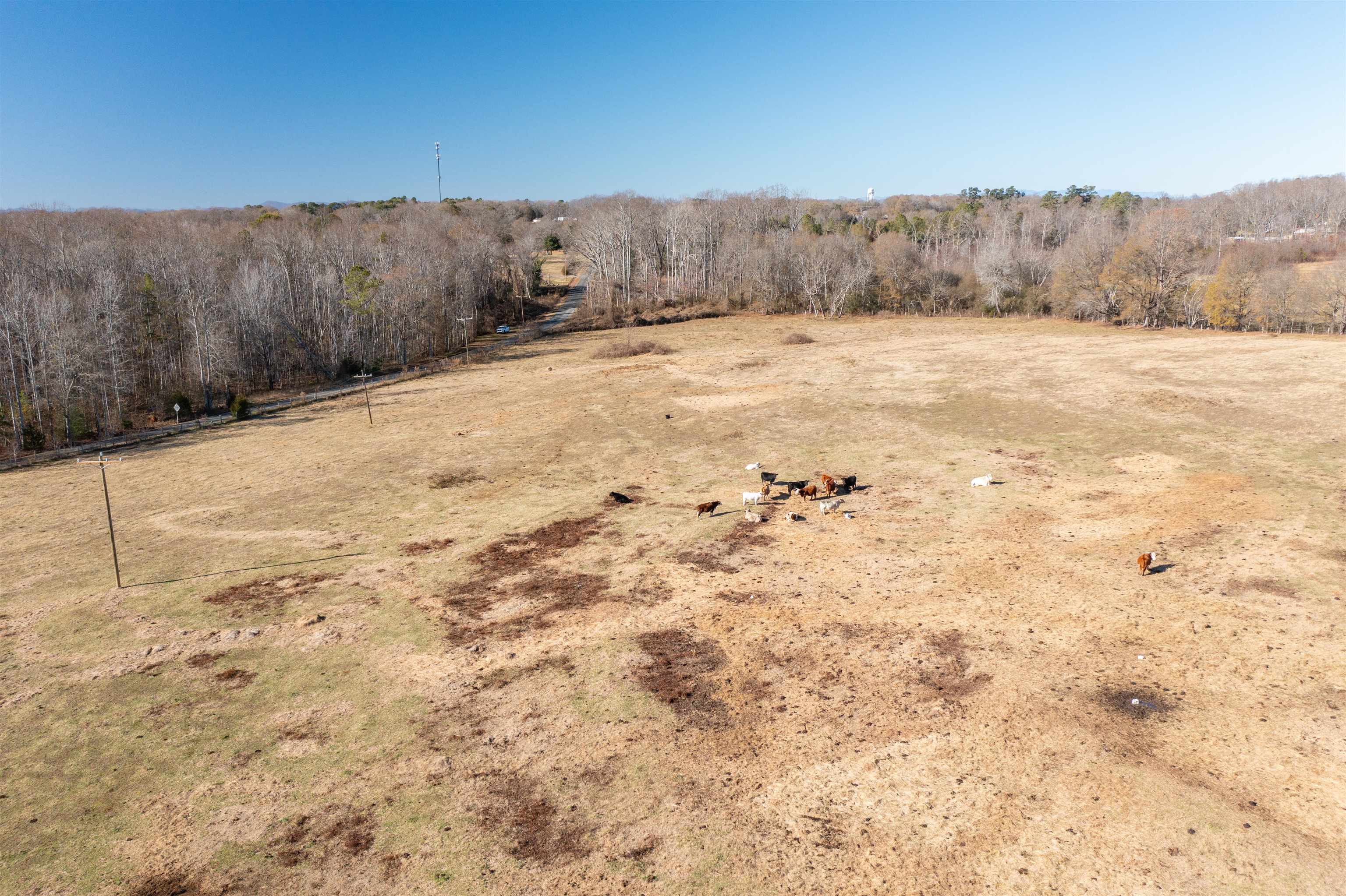 0 Woods Farm Road Chesnee, SC 29323 - Photo 8 of 15
