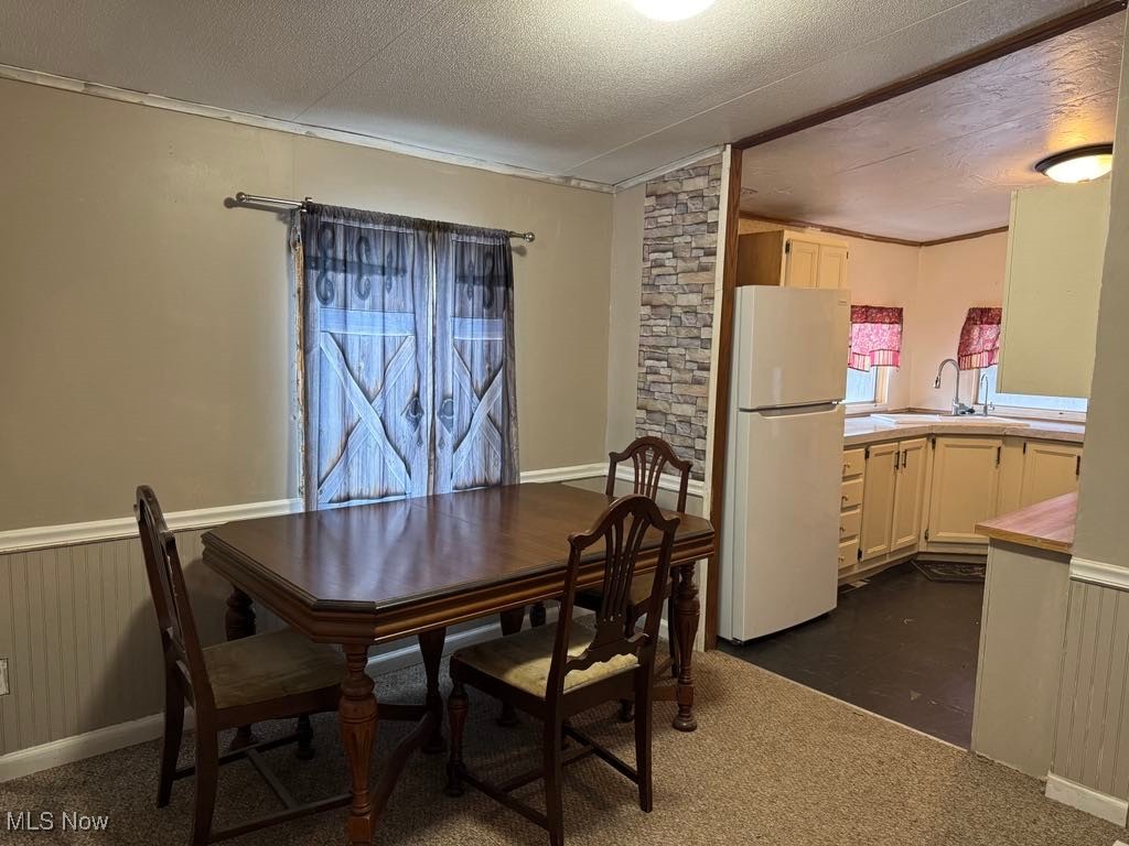 2385 Chase Road Southeast Carrollton, OH 44615 - Photo 6 of 16 Carpeted dining room with wood walls, a textured ceiling, lofted ceiling, and sink