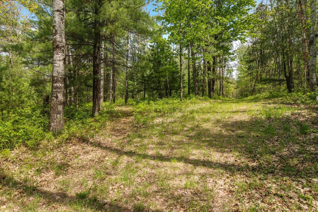 0 Brown Bridge Road Traverse City, MI 49696 - Photo 17 of 25