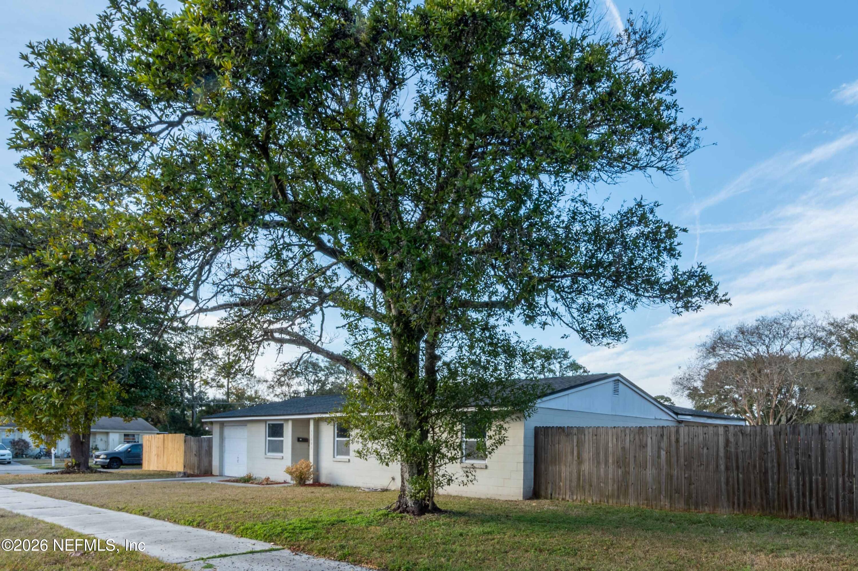 a tree in front of a white house