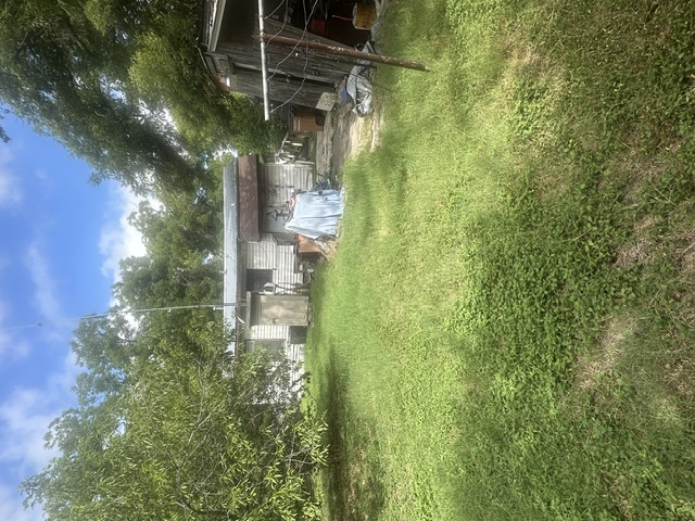 1127 Mark Street, Unit D Austin, TX 78721 - Photo 5 of 6 A verdant lawn flanks a rustic outbuilding under a bright blue sky, offering a peaceful outdoor retreat.