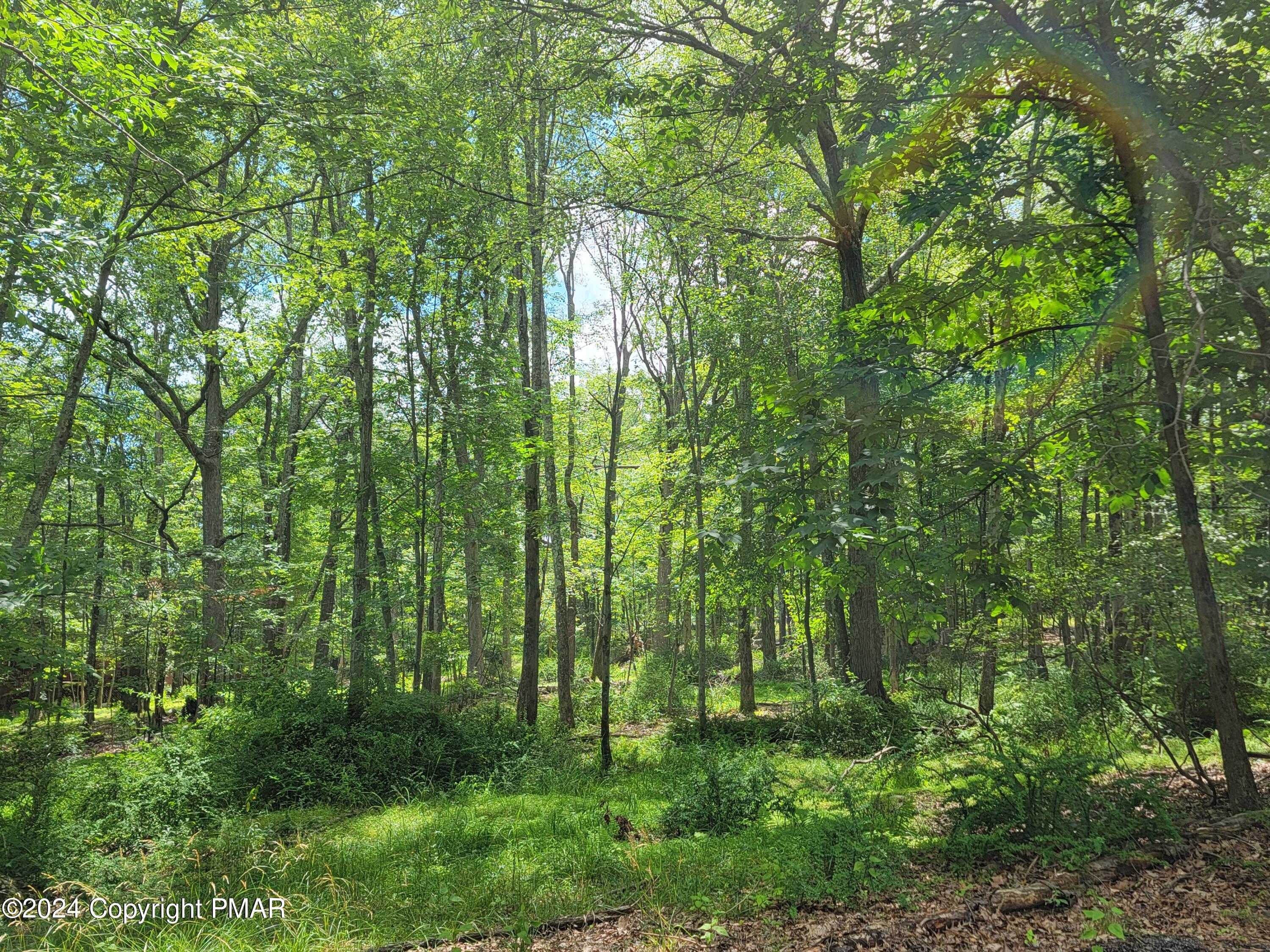 103 Brent Road Bushkill, PA 18324 - Photo 1 of 4 a view of yard